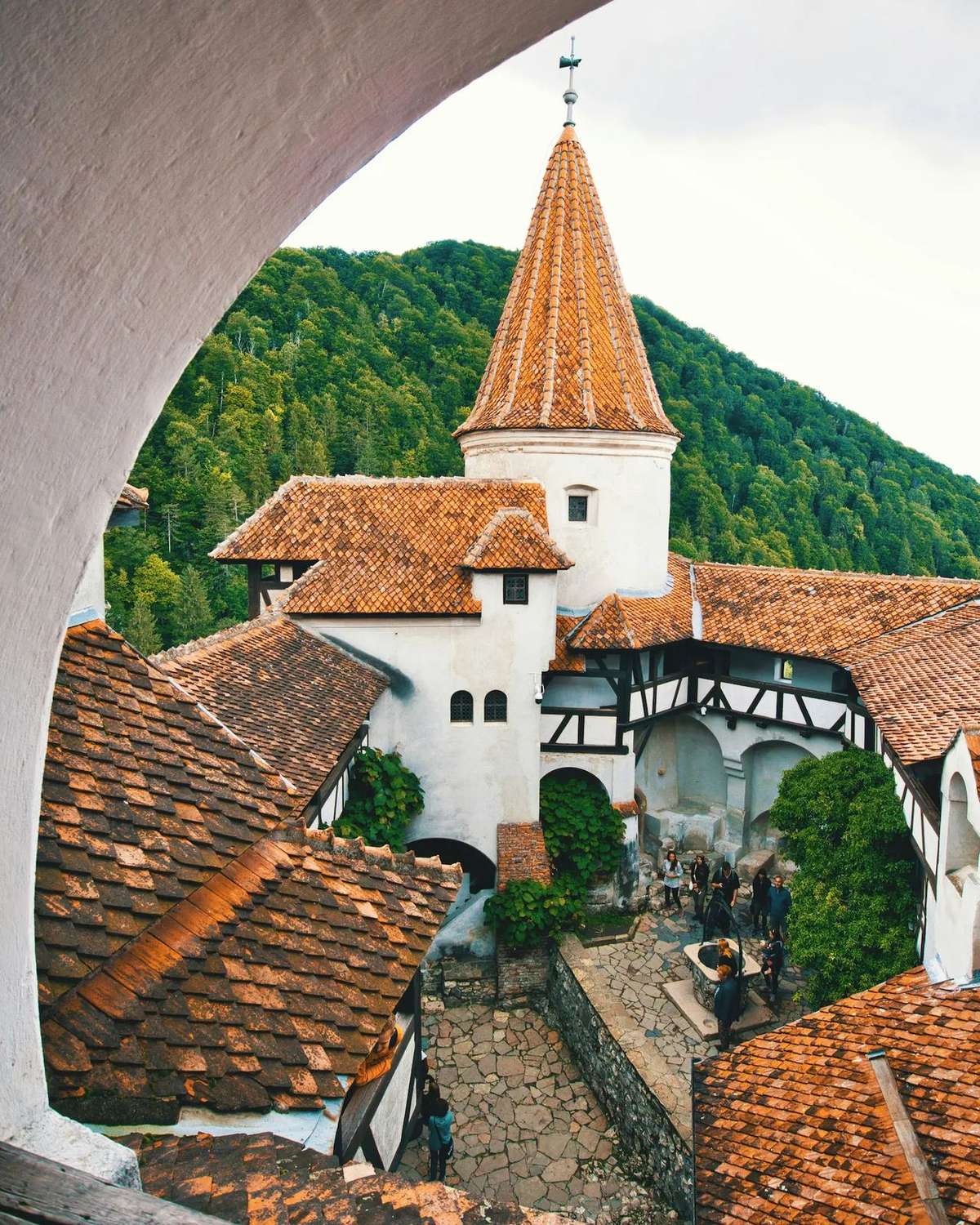 Le château de Bran perché sur une colline, entouré de forêt
